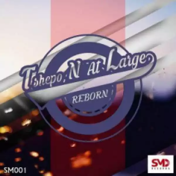 Tshepo N At Large - Reborn (Original Mix)